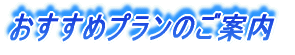 各種プランのご案内